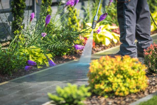 Best Boat and Dock Cleaning  in Bowling Green, MO